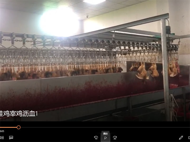 宰鸡生产线设备 宰鸡流程 国外屠宰生产线设计制作双业机械